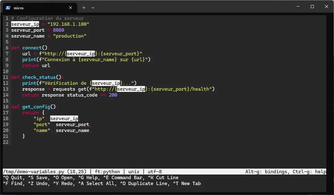 Multi-curseurs ajoutés un par un avec Alt+N sur les occurrences de serveur_ip dans un fichier Python