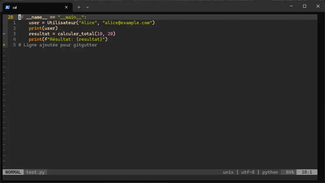 vim-gitgutter affichant les marqueurs de modification dans la gouttière